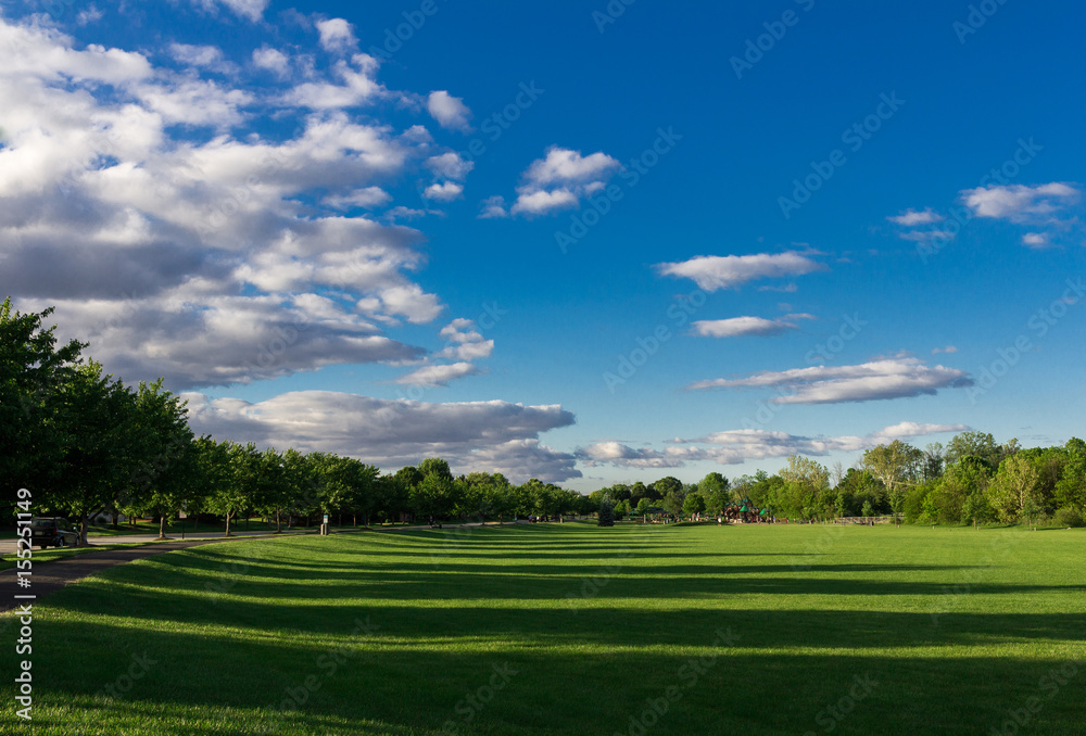 Clouds and Field