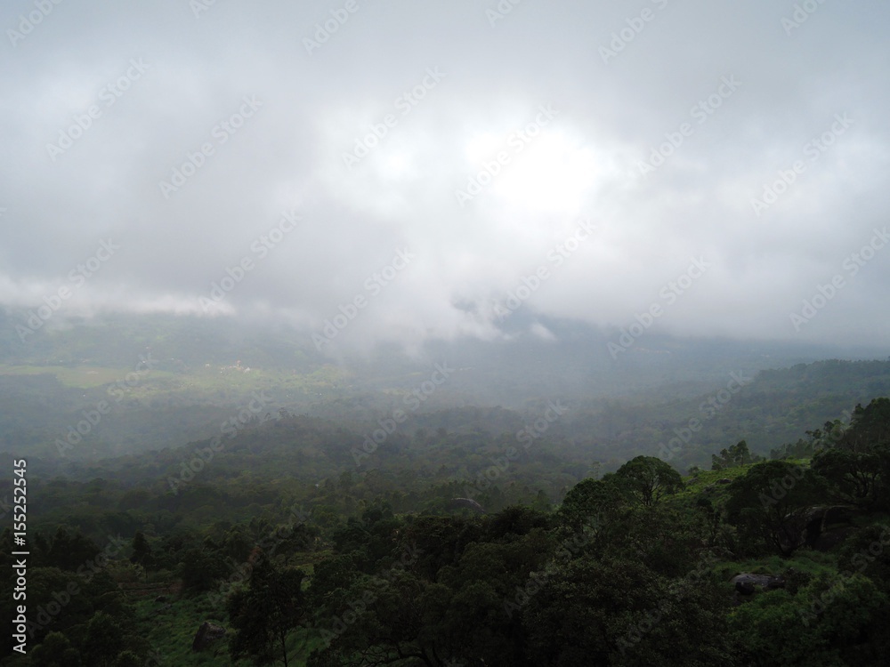 Green valley/evergreen forest under fog and clouds in the morning Green valley/evergreen forest under fog and clouds in the morning