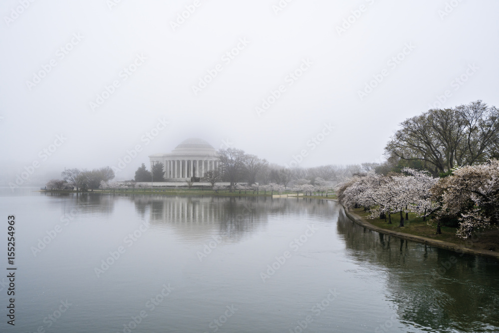 Fototapeta premium History amongst the fog