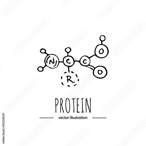 Hand drawn doodle Protein chemical formula icon Vector illustration dieting symbol Cartoon sketch weight loss element Fitness diet Sport nutrition Healthy eating bodybuilding power drink