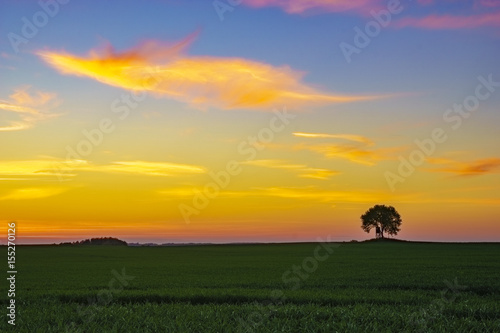 Colorful sunset over the spring field