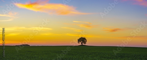 Colorful sunset over the spring field