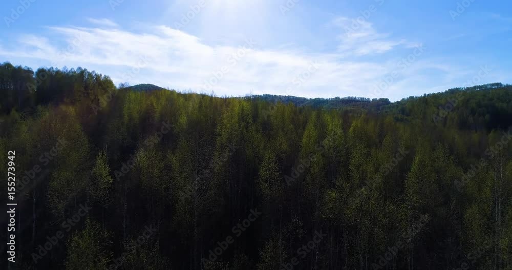 Spring. Spring forest. Young green leaves on the trees. The camera slowly flies over the forest. Aerial View. Spring. Spring forest. Young green leaves on the trees. The camera slowly flies over the forest. Aerial View.