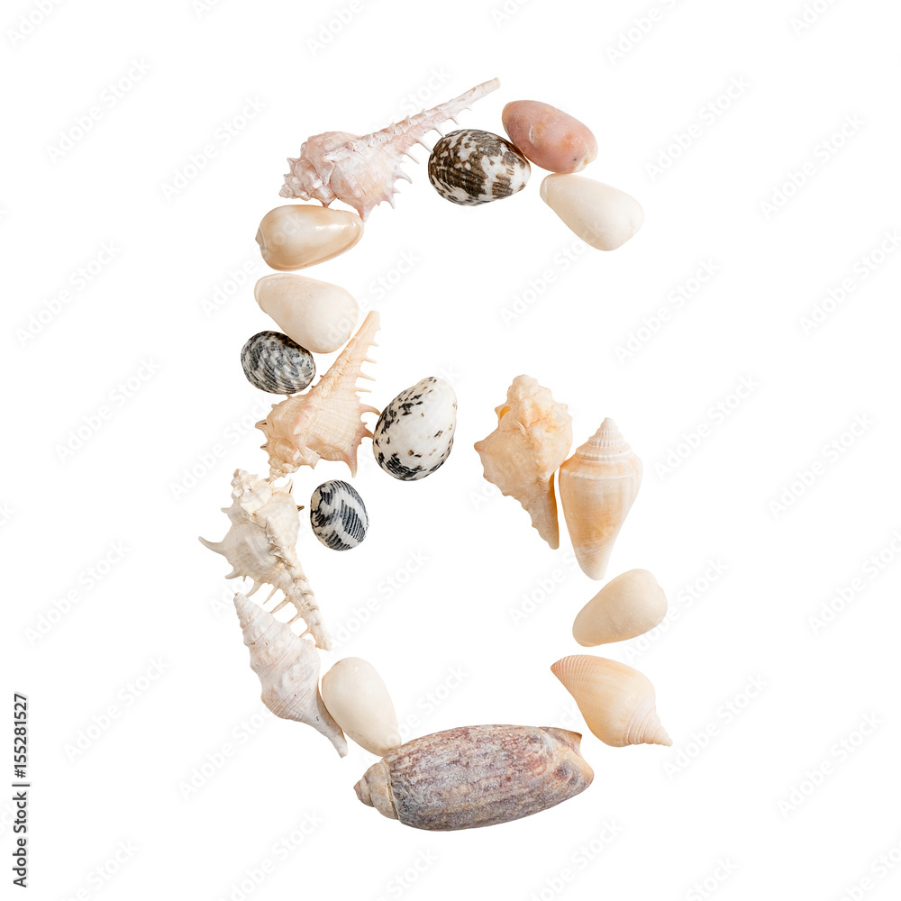 Obraz premium various sea shells number 6 on isolated white background