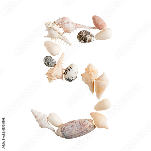 various sea shells number 5 on isolated white background