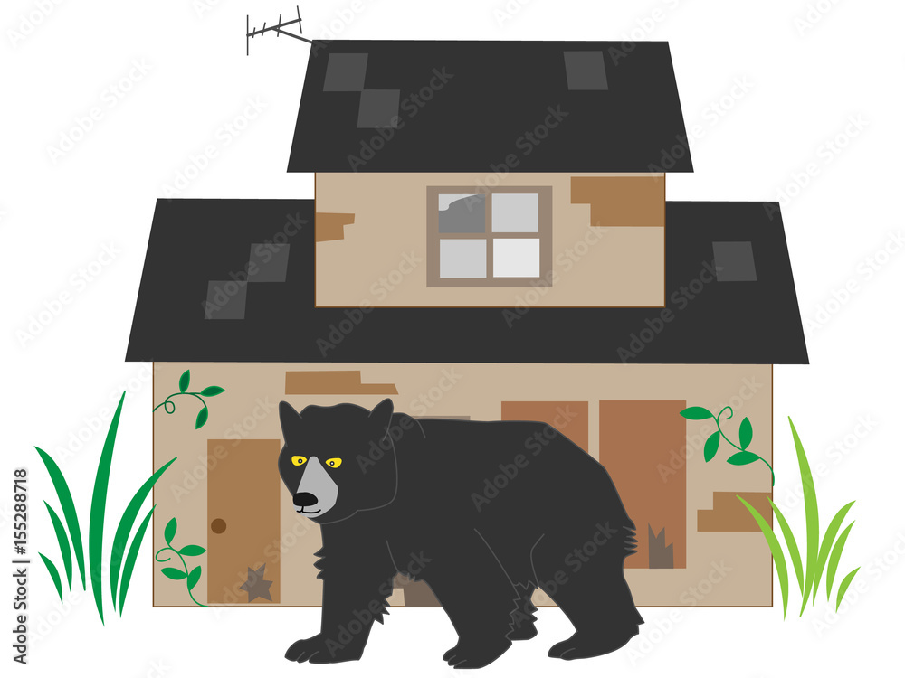 Obraz premium 空き家に出没する熊