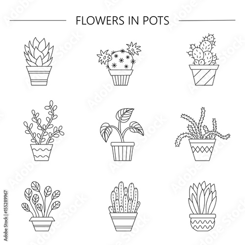 Potted flowers.