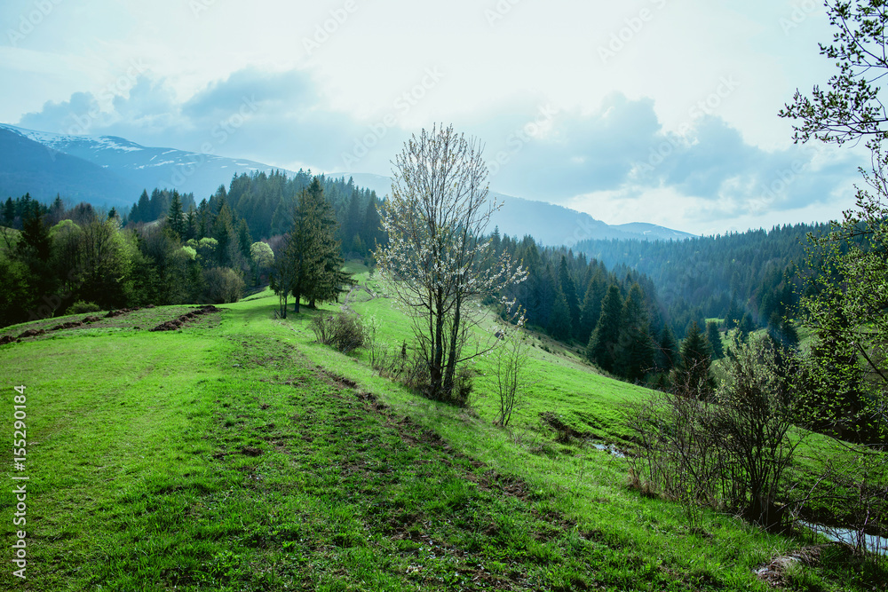Landscape of great mountains in spring in the cloudy day Landscape of great mountains in spring in the cloudy day