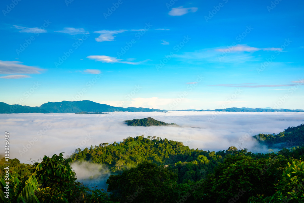 The fog at Khao Phanoen Thung, Kaeng Krachan National Park in Thailand