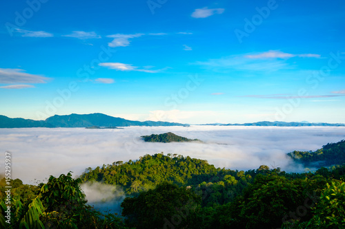 The fog at Khao Phanoen Thung  Kaeng Krachan National Park in Thailand