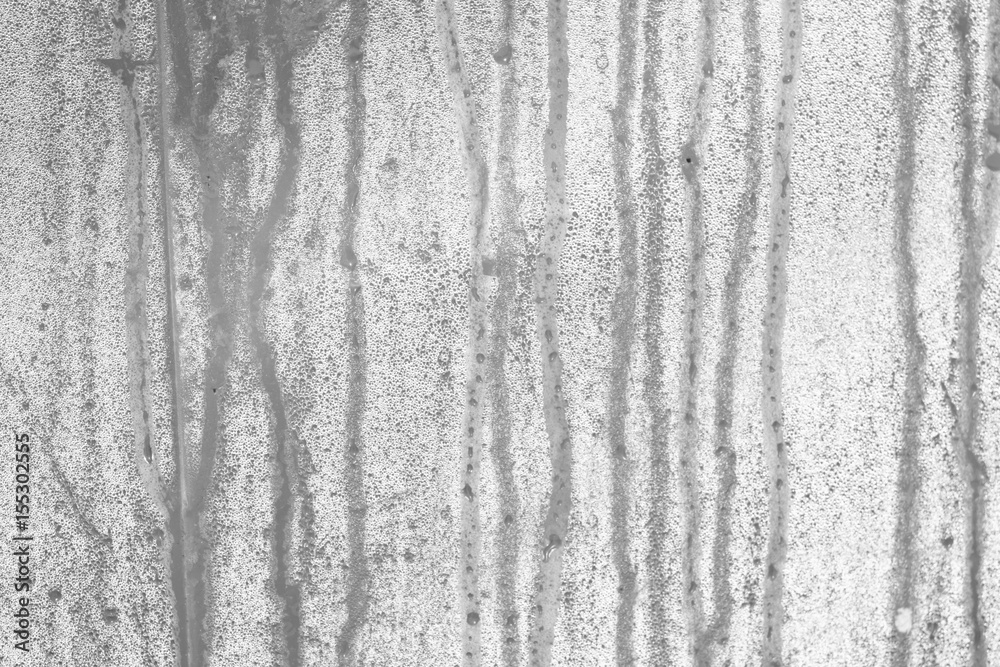 Fototapeta premium condensation drops on pvc greenhouse.