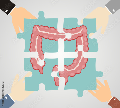 Four hands putting jigsaw puzzle pieces with image of large intestine together