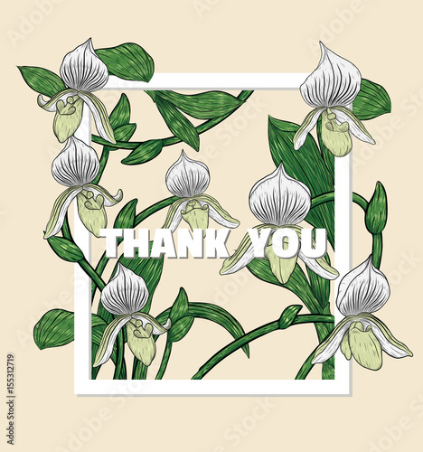 Paphiopedilum orchids card by hand drawing.Orchids vector card on brown background.