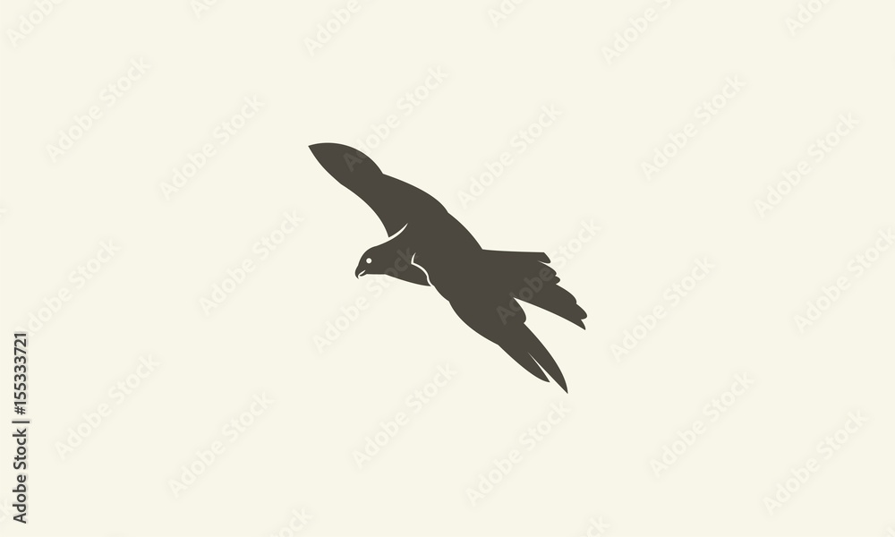 Obraz premium eagle logo template