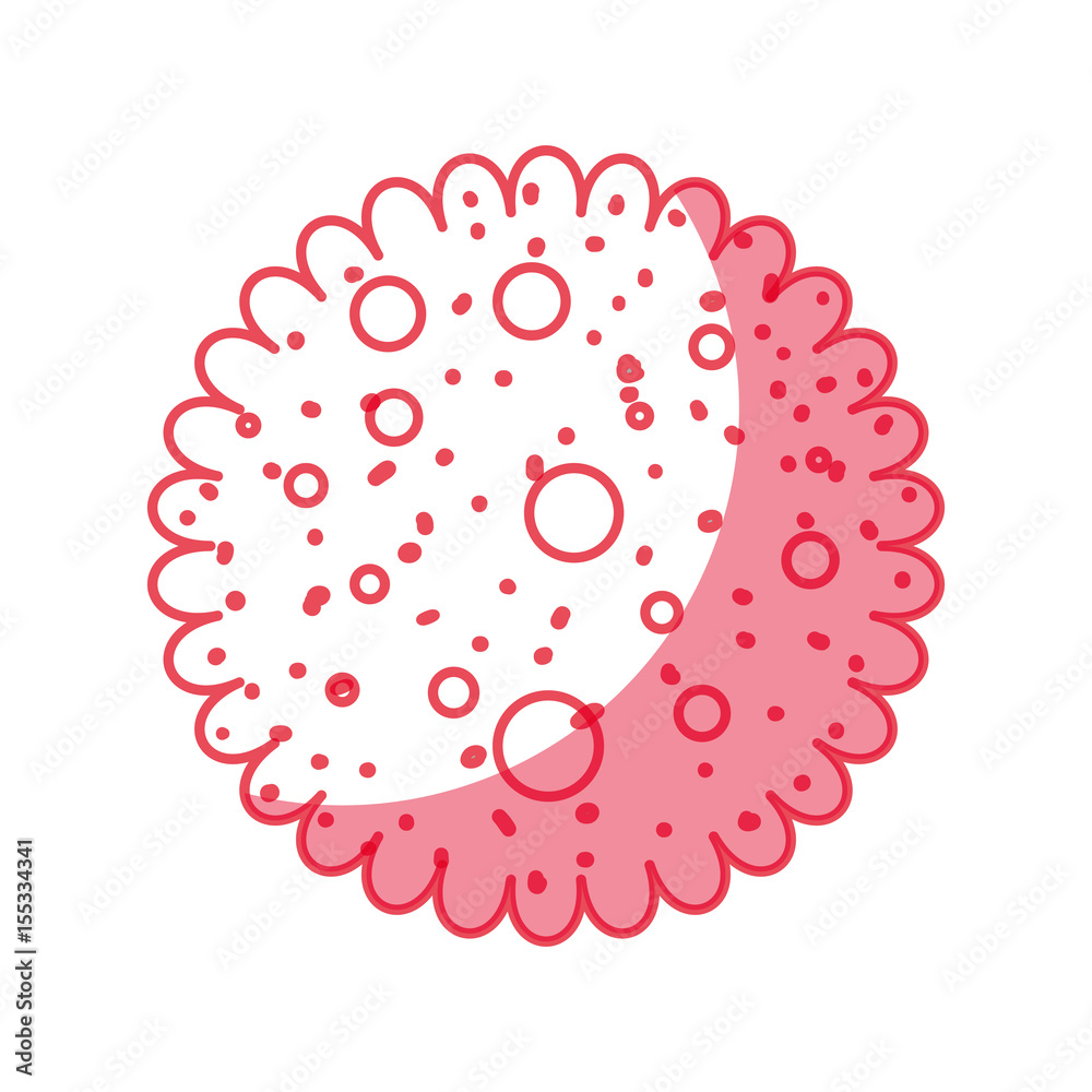 cookie snack sweet icon vector illustration graphic design