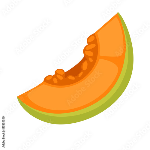 Slice of fresh melon photo