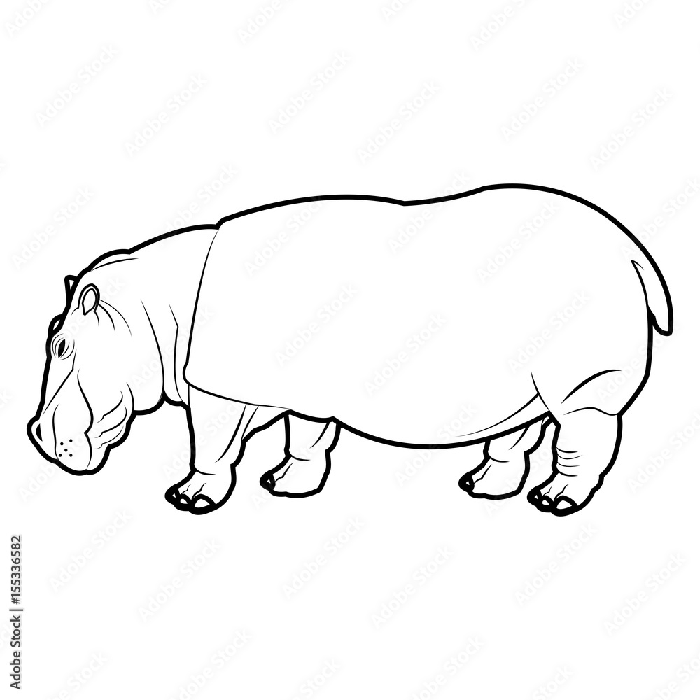 hippo standing animal naturalist wildlife style, vector illustration hippo standing animal naturalist wildlife style, vector illustration