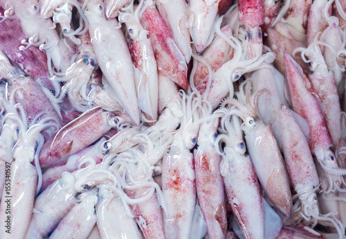 raw fresh squid seafood at the thai market