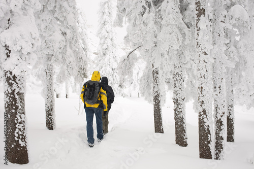 The travelers goes to the snowy forest after a record snowfall in early winter. Monthly rainfall.