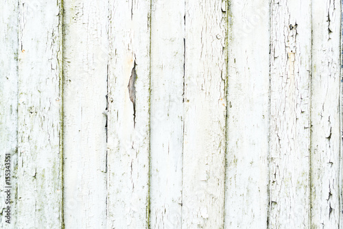 Wallpaper Mural Old vintage white painted wall background Torontodigital.ca