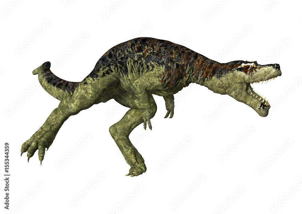 3D Rendering Dinosaur Tyrannosaurus Rex on White 3D Rendering Dinosaur Tyrannosaurus Rex on White