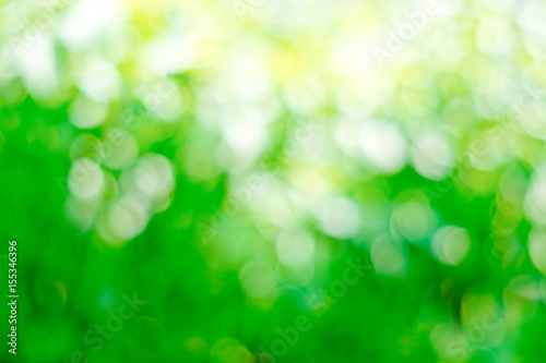 Bokeh background