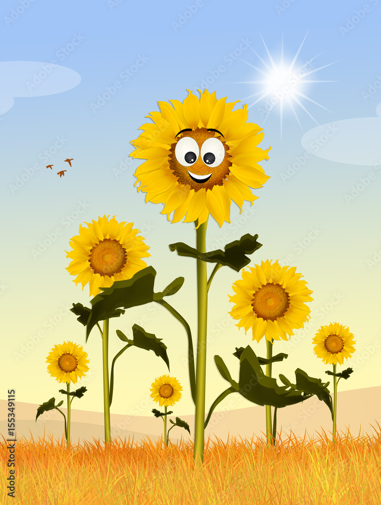 Obraz premium cute sunflowers field