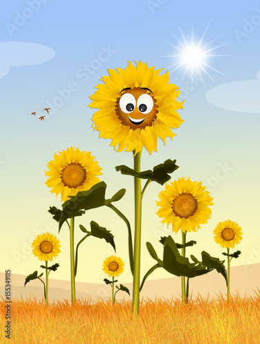 Fototapeta Naklejka Na Ścianę i Meble -  cute sunflowers field
