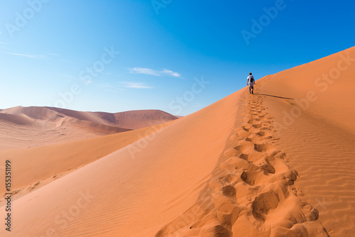 Tourist walking on the scenic dunes of Sossusvlei, Namib desert, Namib Naukluft National Park, Namibia. Afternoon light. Adventure and exploration in Africa.