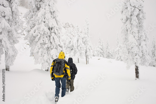 The travelers goes to the snowy forest after a record snowfall in early winter. Monthly rainfall.