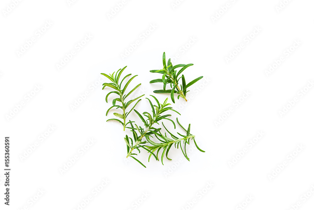 Fresh branches with leaves of organic rosemary seen from above isolated on a white background Fresh branches with leaves of organic rosemary seen from above isolated on a white background