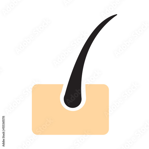 hair icon, hair growth icon isolated vector