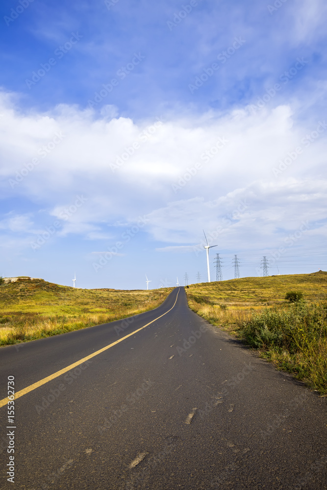 Fototapeta premium asphalt road on grassland
