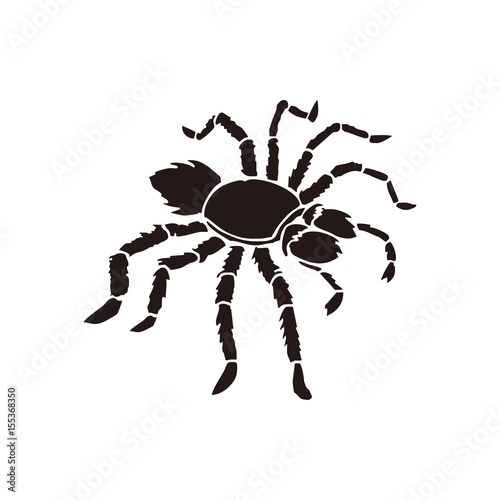 Silhouette of black spider isolated on white