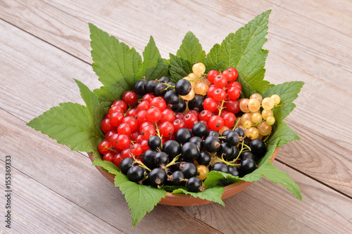 Currant in bowl, Red currant, black currant and white. 