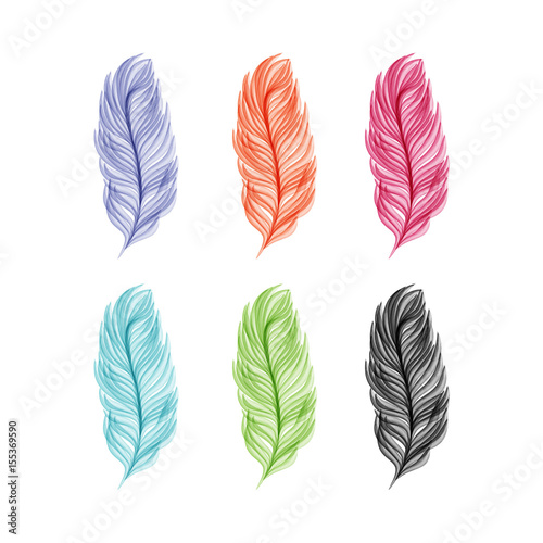 Watercolor feathers illustration