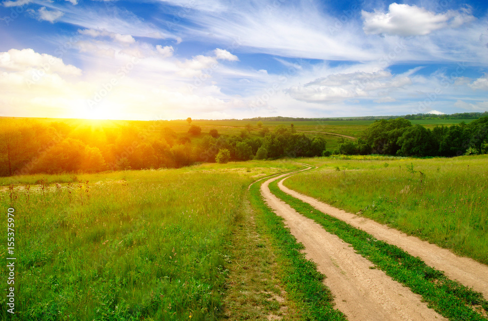 road in field