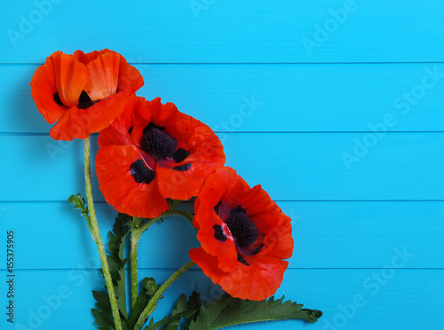 Fototapeta Naklejka Na Ścianę i Meble -  Red poppy on wood