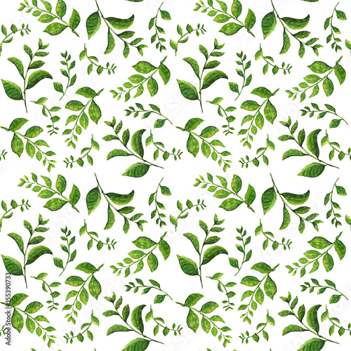 Watercolor hand drawn illustration seamless pattern background of Green branches with leaves on white