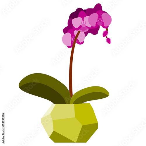 Vector illustration with orchid in geometric flowerpot
