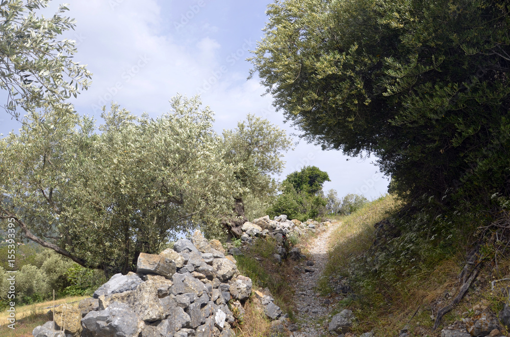 Chemin de randonnée entre Vourliotes et Manoletes (Samos)