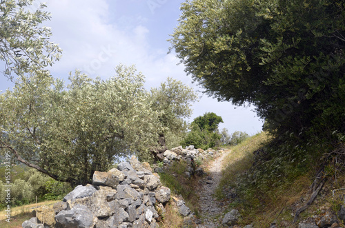 Chemin de randonnée entre Vourliotes et Manoletes (Samos)