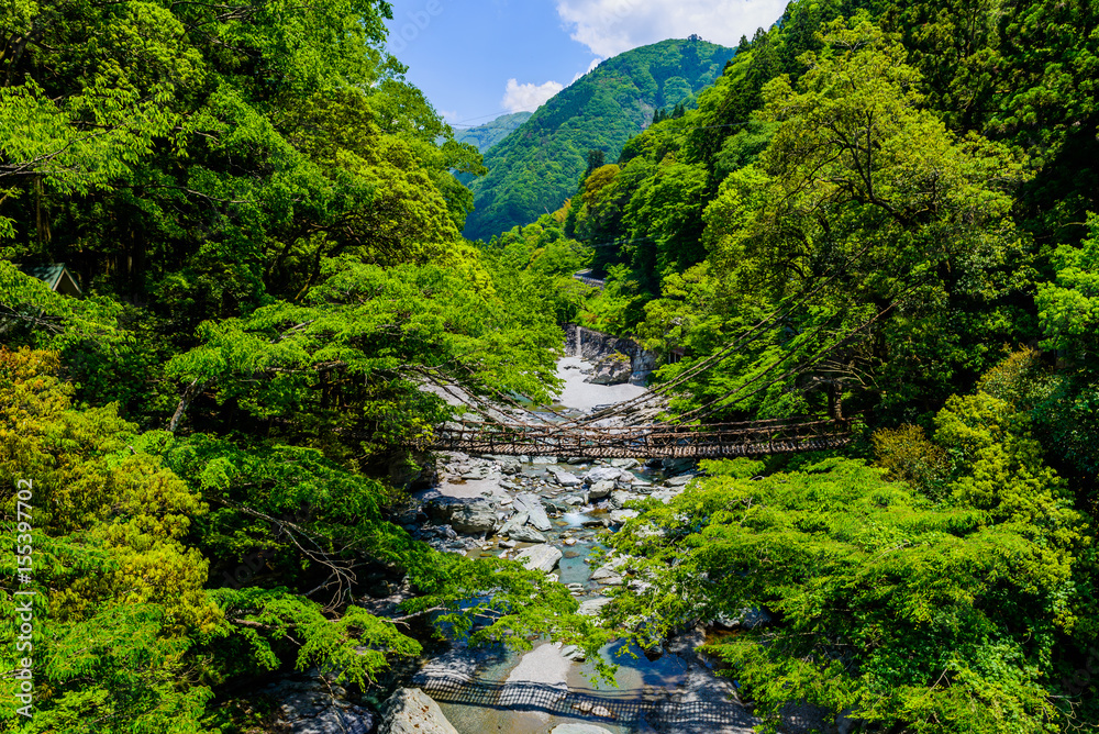 渓流と風景 吊り橋