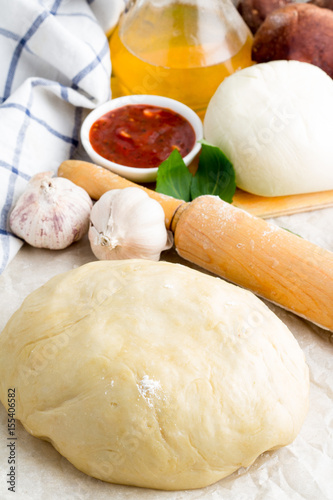 Ingredients and dough for pizza.