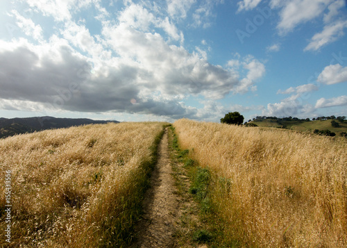 Panoramic view of a trail at the Lagoon Valley Park in Vacaville, California, USA, featuring the golden grass in the end of the winter of 2017, and clouds