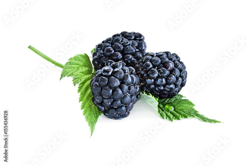 Juicy raw blackberry fruit with leaves isolated over a white background with light shadow. Shallow depth of field with selective focus on foreground.