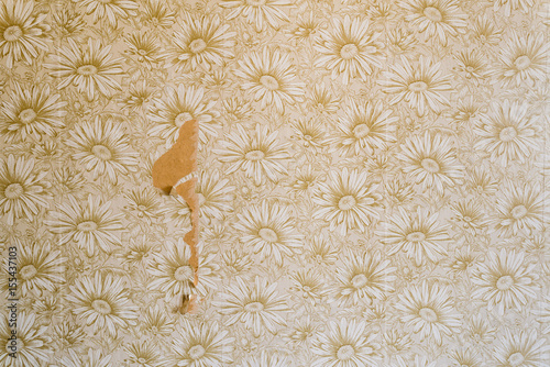 Old retro flower wallpaper partly torned