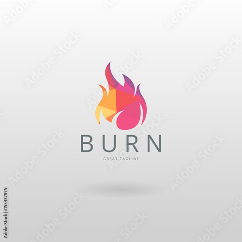 Burn logo. Colorful low poly fire logo template.