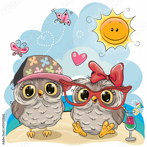 Two Owls on the beach