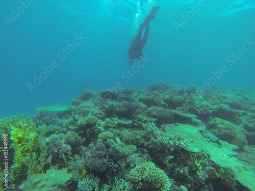 Diving sportsman swimming in the middle of the sea, Red Sea, Egypt, underwater dive water extreme active sport